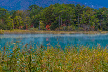 紅葉した福島の五色沼