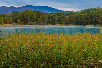 紅葉した福島の五色沼