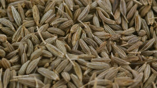 Closeup shot of dry Cumin seeds rotating. 
