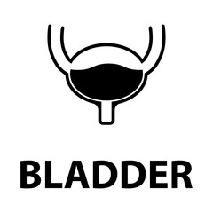 Urology health human icon, anatomy medical body bladder sign, biology vector illustration