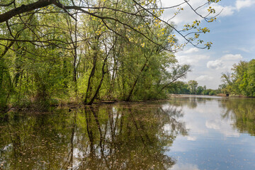 Altrheinarm bei Jockgrim im Frühling