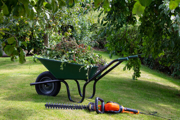 Gardening - Wheelbarrow full of hedge cuttings next to an electric hedge trimmer. - obrazy, fototapety, plakaty