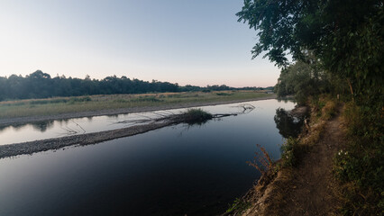summer morning on the river