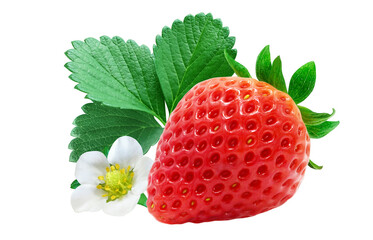 いちご 苺 イチゴ イラスト リアル 葉 花 セット