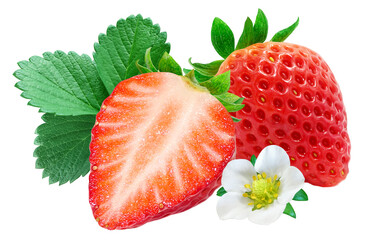 いちご 苺 イチゴ イラスト リアル 葉 花 セット