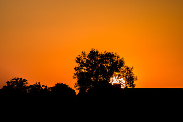 the evening sun sets in summer