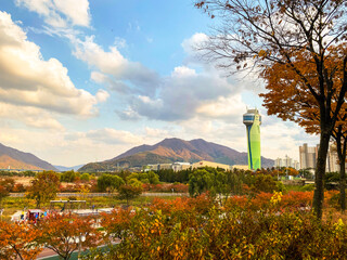 Obraz premium landscape with flowers and sky