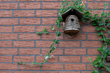 Vogelhaus an Steinwand 