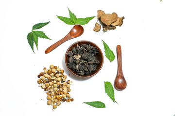 Neem green leaf Azadirachta indica  green leaves on white background