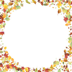 Leaves Falling Autumn Foliage Chaotic Leaf Flying