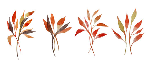 Set of watercolor design elements of the garden rose collection dark blue flowers, leaves, green branches, botanical illustration, isolated on a transparent background	