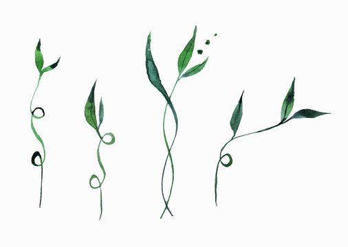 Seamless watercolor illustration of eucalyptus border. Natural organic grass in an elegant ornament. Hand-painted eucalyptus in an elegant seamless border. Isolated on a white background.