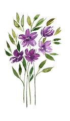 Set of watercolor design elements of the garden rose collection dark blue flowers, leaves, green branches, botanical illustration, isolated on a transparent background	