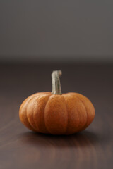 Cute orange pumpkin on wood table with copy space