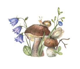 Illustration of mushrooms, grass, flowers, berries, bluebell, snail. Forest composition hand-drawn in watercolor on a white background
