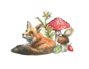 Illustration of mushrooms, grass, flowers, berries, fly agaric, fox. Forest composition hand-drawn in watercolor on a white background