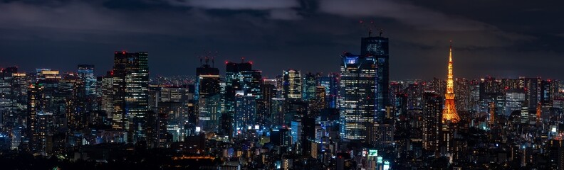 Fototapeta na wymiar 東京の夜景のパノラマ風景