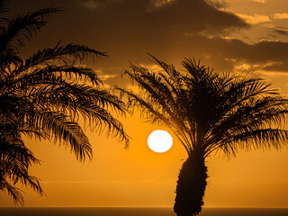 sunset 22
