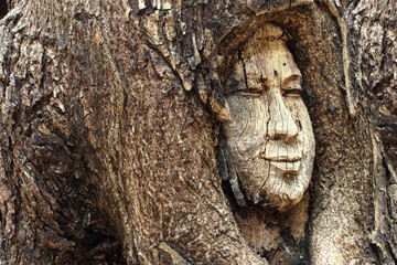 wood carved tree with human face in the tree