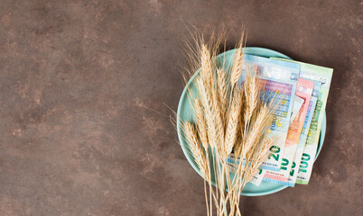 Plate with wheat and Euro banknotes, food shortage and increasing prices, poverty through inflation
