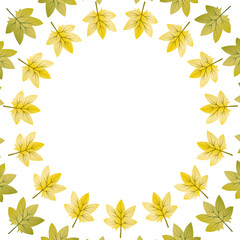 beautiful autumn background with yellow leaves on a light background