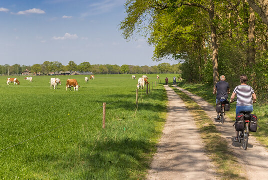 Couple riding their bicycle at a dirt road in Overijssel