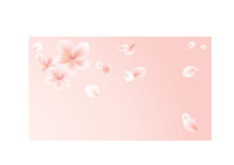 Flying flowers and petals isolated on light peach pink gradient background. Cherry blossom. Vector