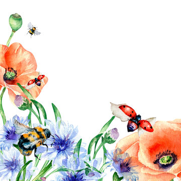 Board of ladybugs, bee and poppies watercolor illustration on white.