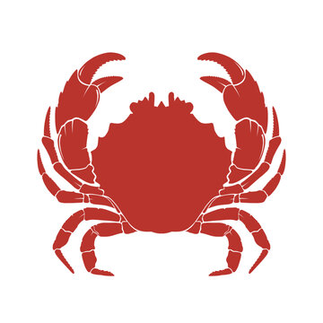 recommend clip art: red crab isolated on white