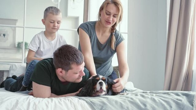 loving family and little son a boy of European appearance sitting on a bed in a cozy modern room with his beloved dog with big ears. pet love concept. Happy time with your pet. Home cozy leisure