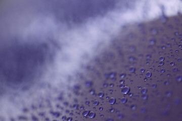 Water drops on a hydrophobic car paint surface