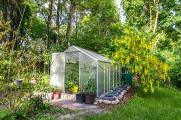 Gewächshaus im Garten für den Eigenverbrauch und Anbau von Bio Gemüse - obrazy, fototapety, plakaty