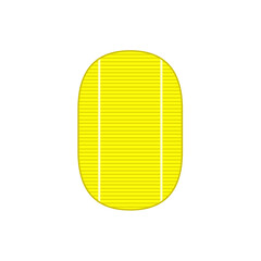 昔の日本で使われていた楕円形の金貨