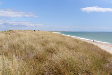  Gâvres-Quiberon  the largest bank of sand dunes in Brittany. Plouharnel coast