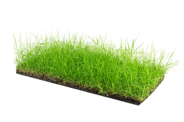 round soil ground cross section with earth land and green grass, realistic  circle cutaway terrain...
