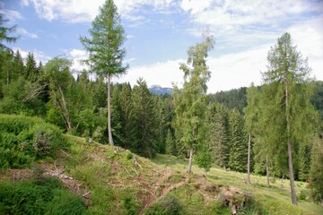 Berglandschaft