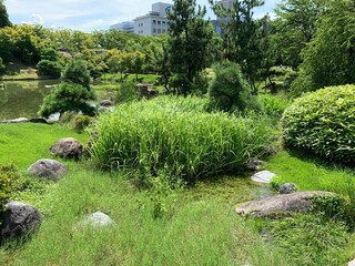 富山市の富山城址公園