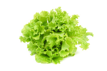 Lettuce Leaves, Vegetables, Isolated on white background.