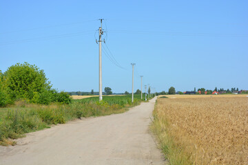 Fototapeta na wymiar Vibrant landscape, roads, fields with yellow rye, wheat, blue sky in village Rybienko Nowe, Poland.