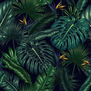 Seamless vector pattern with exotic plants. Monstera, palm and banana leaves, aralia, elephant ear leaf, strelitzia