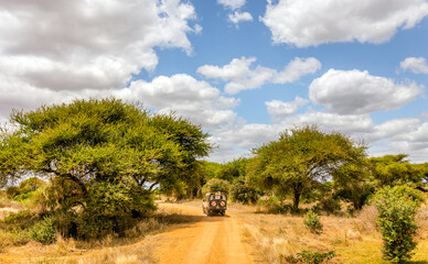 Safari road in Kenya - 521798619