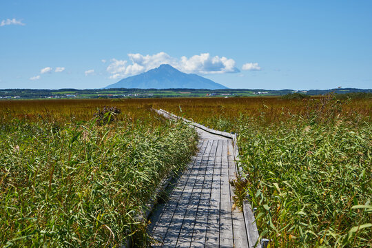 北海道 サロベツ原野と利尻富士 © osap1111