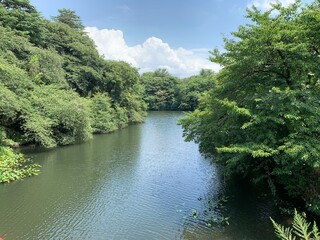 Obraz premium 高岡城跡の堀