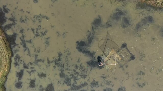 Fisherman catches fish with a large net in a drained pond, top view