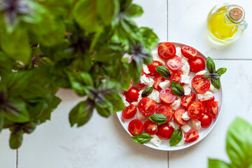 Portion of caprese salad under basil plant, concept of home gardening