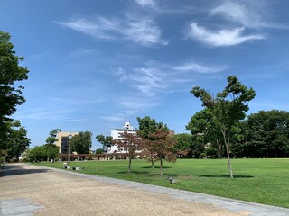 富山市の富山城址公園