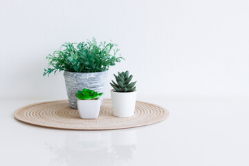 Artificial plants in a white pot on white table with white wall backbround for Interior decoration,...
