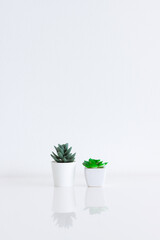 Artificial plants in a white pot on white table with white wall backbround for Interior decoration, Minimalist