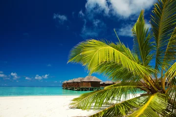 Papier peint photo  Tropical seascape. Beautiful island view with white sand, ocean waves, green palms, blue cloudy sky and crystal sea water. Happy lifestyle. Ocean beach relax, travel to islands. Vacation on the beach.  © Dmytro Sunagatov