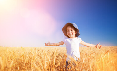 Happy girl walking in golden wheat, enjoying the life in the field. Nature beauty, sunny blue sky and field of wheat. Family outdoor lifestyle. Freedom concept. Cute little girl in summer field - 521803049